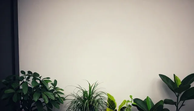 办公用品供应链服务如何应对业务发展趋势？